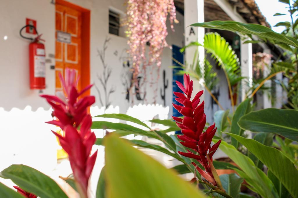 Vila Aju - Pousada Tematica อารากาจู ภายนอก รูปภาพ